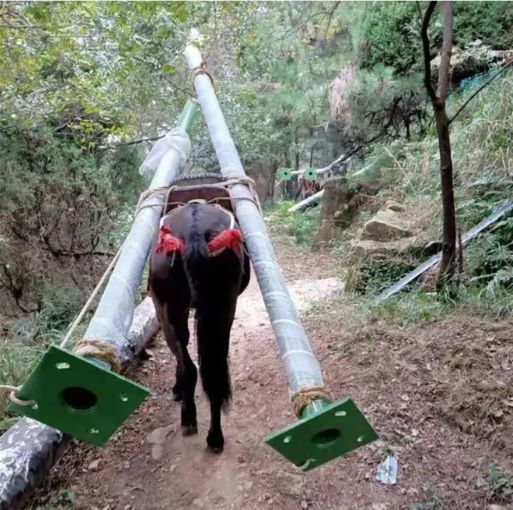 鹰潭骡马运输队